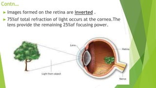 EYE ANATOMY and physiology quick overview | PPTX