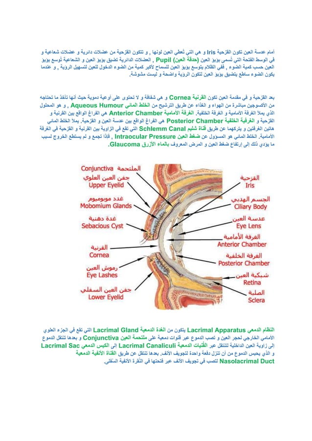 docx