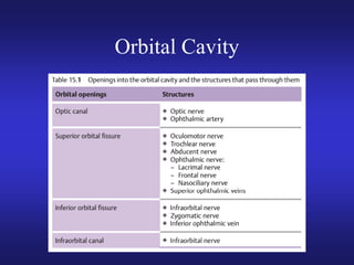 Eye anatomy.pdf eye retina sclera eye layers | PDF