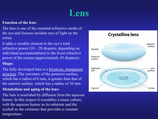 Lens Eye Function Eye anatomy.pdf sclera retina layers of eye | PDF