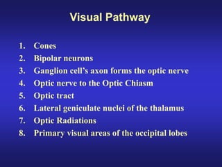 Eye anatomy.pdf sclera retina layers of eye | PDF
