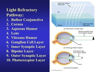 Eye anatomy.pdf sclera retina layers of eye | PDF