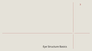 Eye Structure Basics
3
 