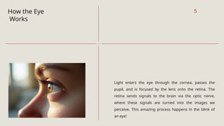 How the Eye
Works
Light enters the eye through the cornea, passes the
pupil, and is focused by the lens onto the retina. The
retina sends signals to the brain via the optic nerve,
where these signals are turned into the images we
perceive. This amazing process happens in the blink of
an eye!
5
 