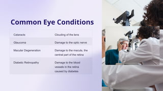 Comprehensive Overview of Human Eye Anatomy and Common Eye Conditions ...