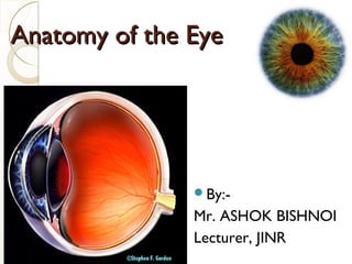 Anatomy of the EyeAnatomy of the Eye
By:-
Mr. ASHOK BISHNOI
Lecturer, JINR
 