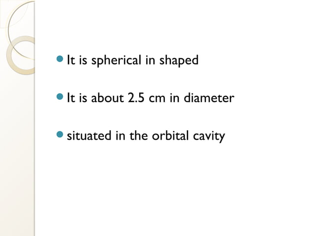 Ppt On Eye Anatomy