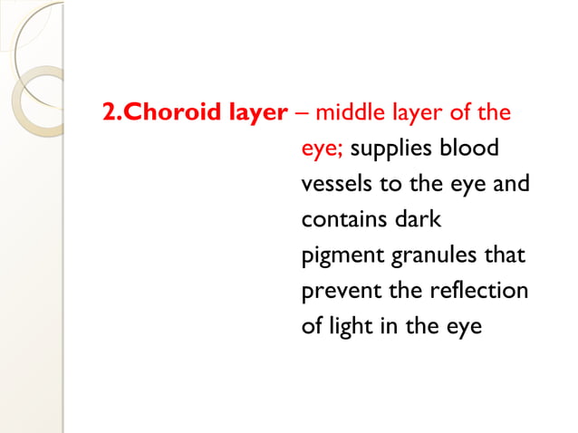 Ppt On EYE PPT
