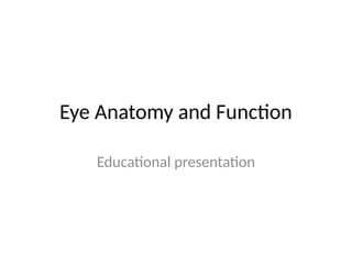 Comprehensive Overview of Eye Anatomy and Visual Function | PPTX