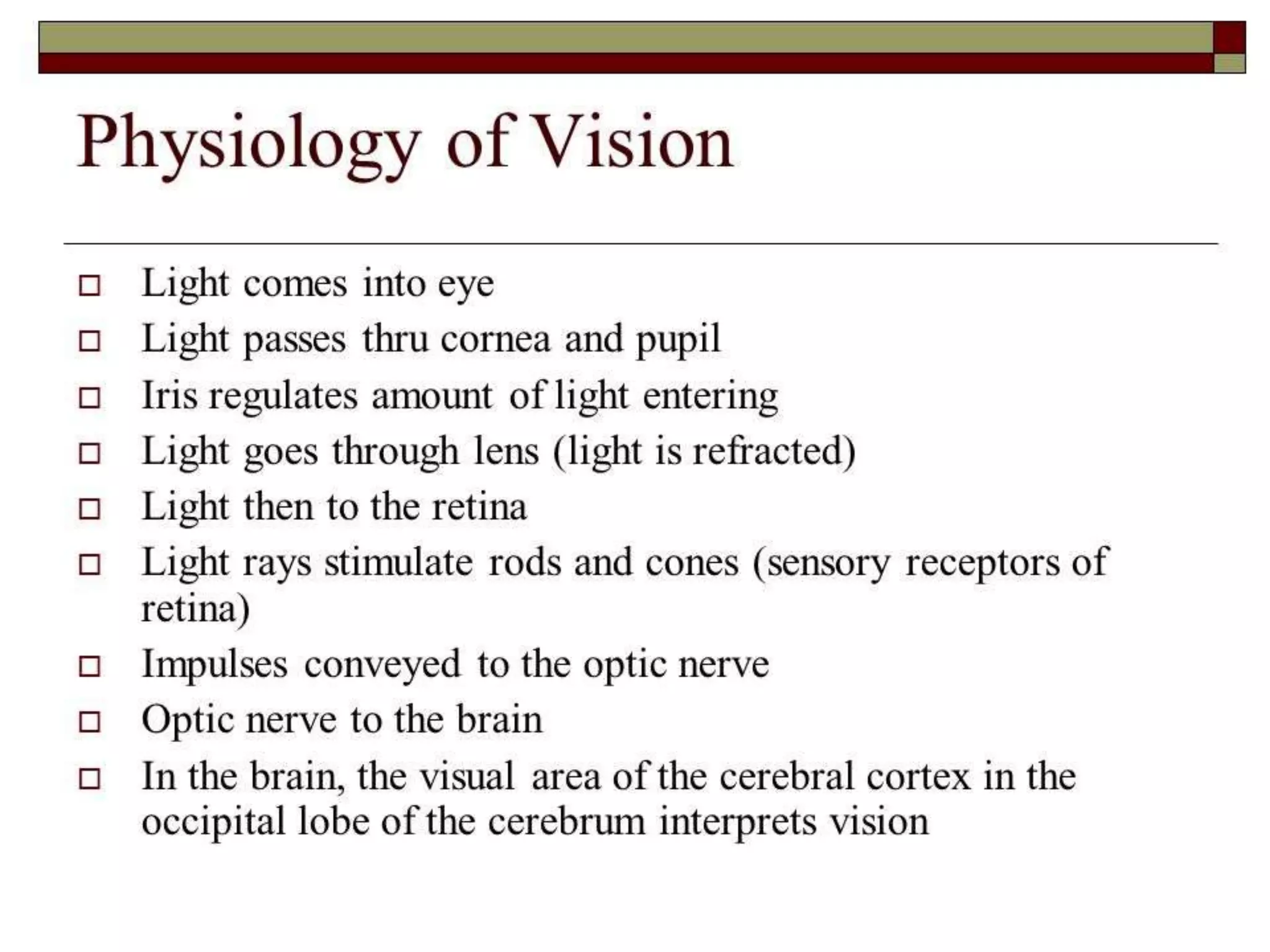 Eye Anatomy Physiology Pptx