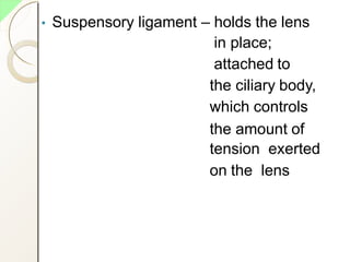 • Suspensory ligament – holds the lens
in place;
attached to
the ciliary body,
which controls
the amount of
tension exerted
on the lens
 