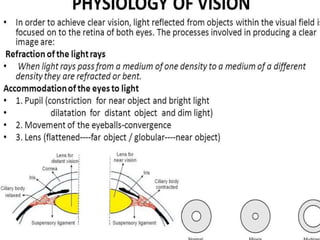 Eye Anatomy & Physiology 