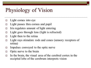Eye Anatomy & Physiology 