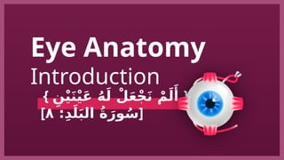 Comprehensive Overview of Human Eye Anatomy and Function | PPTX