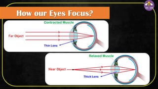 How our Eyes Focus?
 