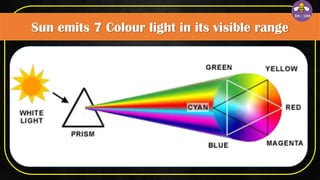 Sun emits 7 Colour light in its visible range
 