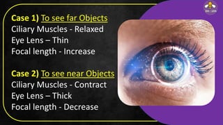 Case 1) To see far Objects
Ciliary Muscles - Relaxed
Eye Lens – Thin
Focal length - Increase
Case 2) To see near Objects
Ciliary Muscles - Contract
Eye Lens – Thick
Focal length - Decrease
 