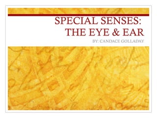 SPECIAL SENSES:  THE EYE & EAR BY: CANDACE GOLLADAY 