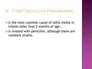 is the most common cause of otitis media in
infants older than 2 months of age.
 is treated with penicillin, although there are
resistant strains.
 