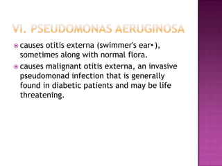  causes otitis externa (swimmer's ear•),
sometimes along with normal flora.
 causes malignant otitis externa, an invasive
pseudomonad infection that is generally
found in diabetic patients and may be life
threatening.
 