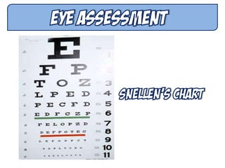 MS Eye and Vision Disorders | PDF