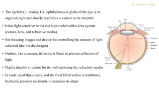 Eye ball.pptx