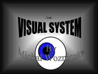 -THE- VISUAL SYSTEM By Michal Wozniczka 