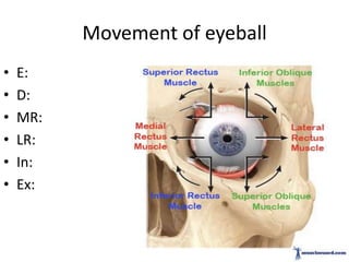 Movement of eyeball
•
•
•
•
•
•

E:
D:
MR:
LR:
In:
Ex:

 
