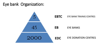 Eye bank Organization:
EBTC
EB
EDC
EYE BANK TRAINIG CENTRES
EYE BANKS
EYE DONATION CENTRES
 
