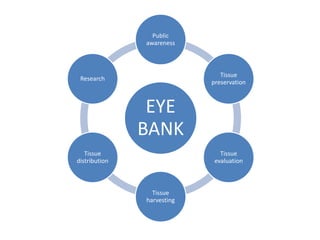 EYE
BANK
Public
awareness
Tissue
preservation
Tissue
evaluation
Tissue
harvesting
Tissue
distribution
Research
 