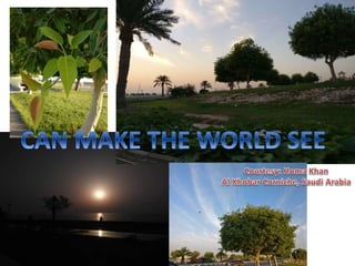 Eye banking and keratoplasty