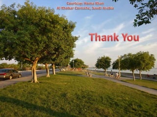 Eye banking and keratoplasty