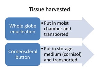 Tissue harvested
•Put in moist
chamber and
transported
Whole globe
enucleation
•Put in storage
medium (cornisol)
and transported
Corneoscleral
button
 