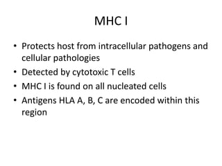 MHC I
• Protects host from intracellular pathogens and
cellular pathologies
• Detected by cytotoxic T cells
• MHC I is found on all nucleated cells
• Antigens HLA A, B, C are encoded within this
region
 