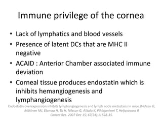 Immune privilege of the cornea
• Lack of lymphatics and blood vessels
• Presence of latent DCs that are MHC II
negative
• ACAID : Anterior Chamber associated immune
deviation
• Corneal tissue produces endostatin which is
inhibits hemangiogenesis and
lymphangiogenesis
Endostatin overexpression inhibits lymphangiogenesis and lymph node metastasis in mice.Brideau G,
Mäkinen MJ, Elamaa H, Tu H, Nilsson G, Alitalo K, Pihlajaniemi T, Heljasvaara R
Cancer Res. 2007 Dec 15; 67(24):11528-35.
 