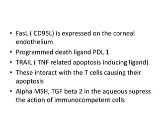 • FasL ( CD95L) is expressed on the corneal
endothelium
• Programmed death ligand PDL 1
• TRAIL ( TNF related apoptosis inducing ligand)
• These interact with the T cells causing their
apoptosis
• Alpha MSH, TGF beta 2 in the aqueous supress
the action of immunocompetent cells
 