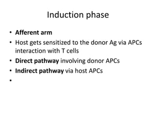 Induction phase
• Afferent arm
• Host gets sensitized to the donor Ag via APCs
interaction with T cells
• Direct pathway involving donor APCs
• Indirect pathway via host APCs
•
 