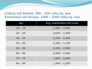Normal Cell Count Eye EYE BANKING AND KERATOPROSTHESIS. For eduactiks. | PPTX