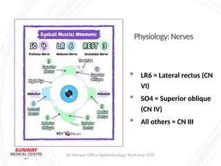 Eyebirami Office 1min procedure (1).pptx
