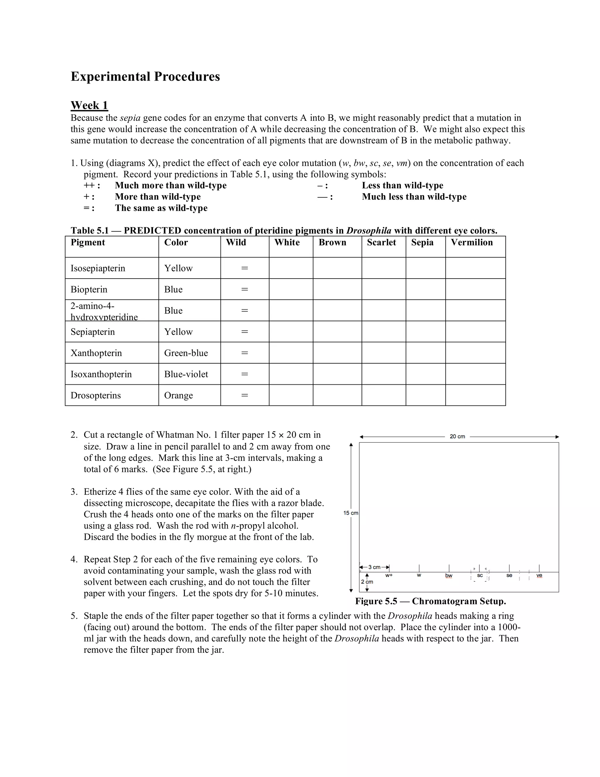 Eye color mutations chromatography drosophila PDF