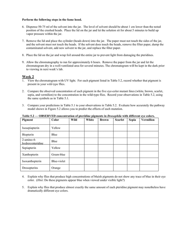 Eye color mutations chromatography drosophila PDF