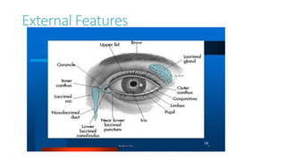 Eye Conditions presentation for medical students | PPTX