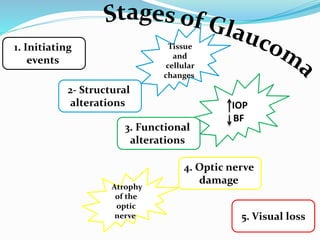 1. Initiating
events
2- Structural
alterations
3. Functional
alterations
4. Optic nerve
damage
5. Visual loss
Tissue
and
cellular
changes
IOP
BF
Atrophy
of the
optic
nerve
 