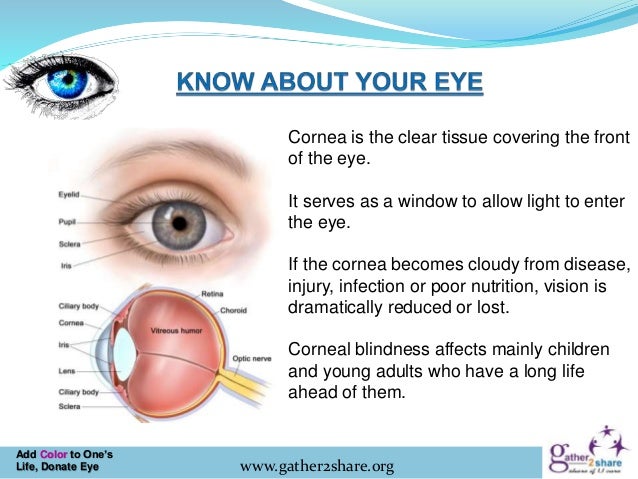 Eye donation fortnight ppt picture