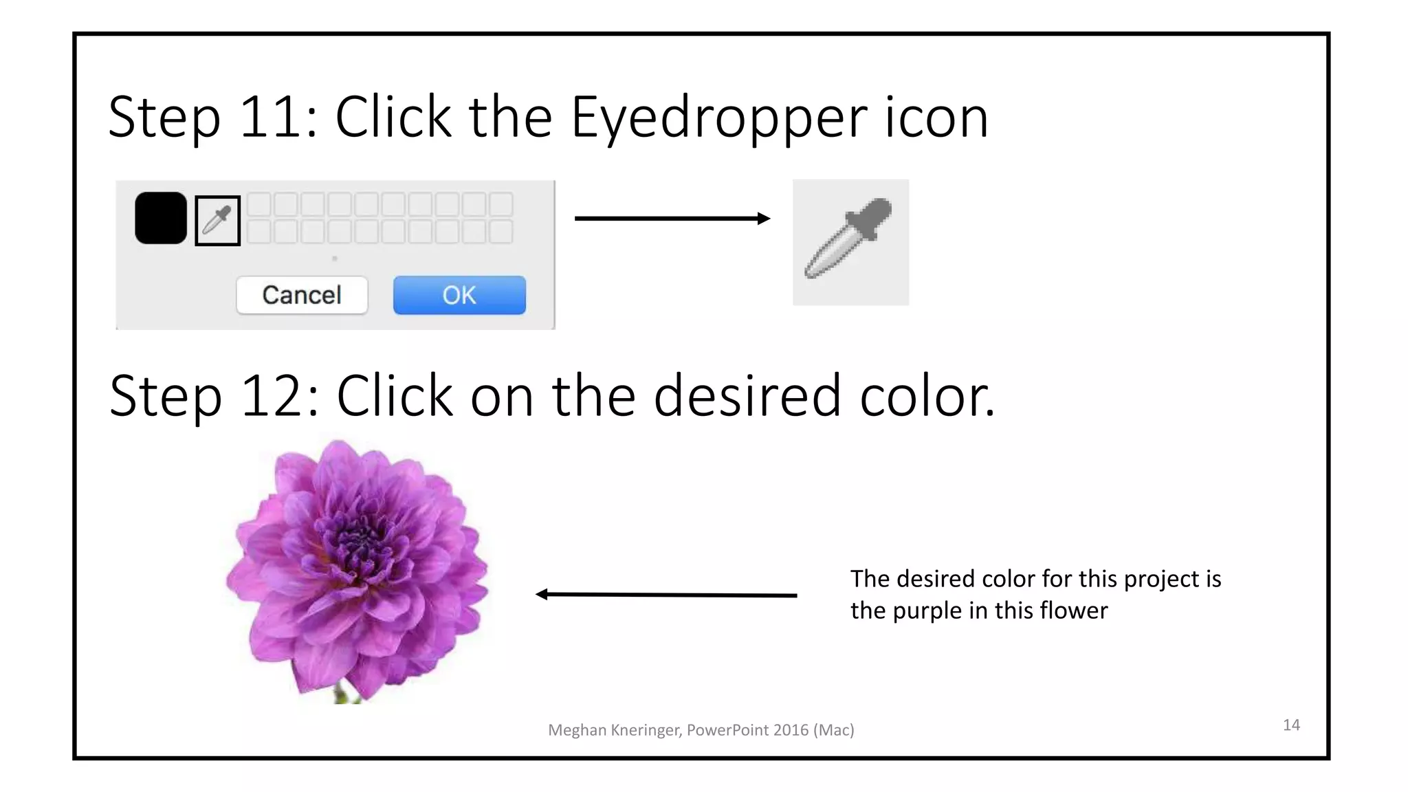 Eyedropper PowerPoint Tool | PPTX
