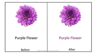 Before After 17
Meghan Kneringer, PowerPoint 2016 (Mac)
Purple Flower Purple Flower
 