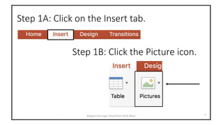 Step 1A: Click on the Insert tab.
Meghan Kneringer, PowerPoint 2016 (Mac) 3
Step 1B: Click the Picture icon.
 