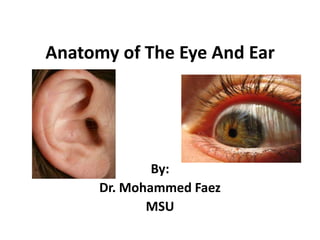 Anatomy of The Eye And Ear By: Dr. Mohammed Faez MSU 