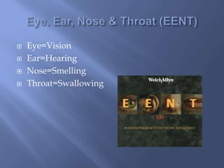  Eye=Vision
Ear=Hearing
Nose=Smelling
Throat=Swallowing