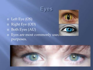  Left Eye (OS)
Right Eye (OD)
Both Eyes (AU)
Eyes are most commonly used for vision
purposes.